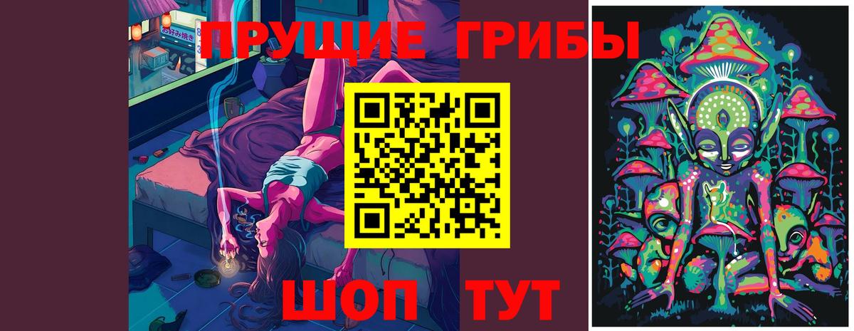 Урус-Мартан  Галлюциногенные грибы GOLDEN TEACHER  Вход с VPN  Псилоцибиновые грибы Psilocybine cubensis 